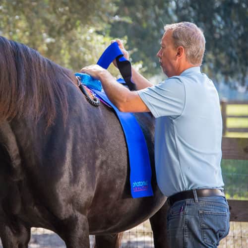 Photonic Health LLC Red Light Therapy for Horses